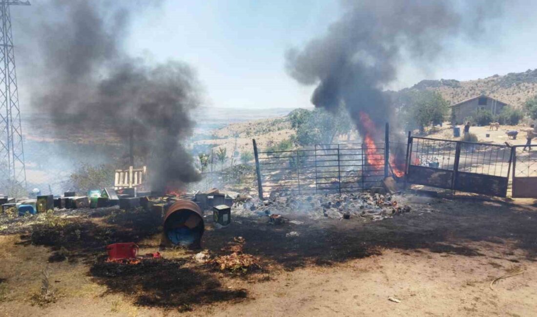 AFYONKARAHİSAR’DA ORMANLIK ALANDA ÇIKAN