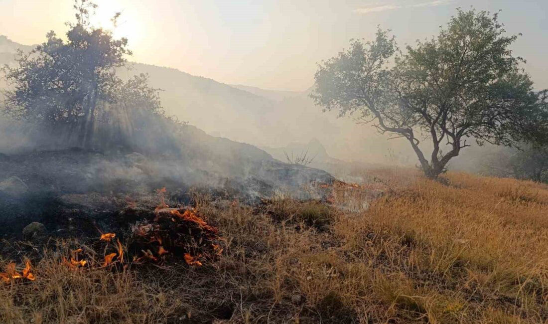 AFYONKARAHİSAR'IN HIDIRLI TEPESİ MEVKİİNDEKİ