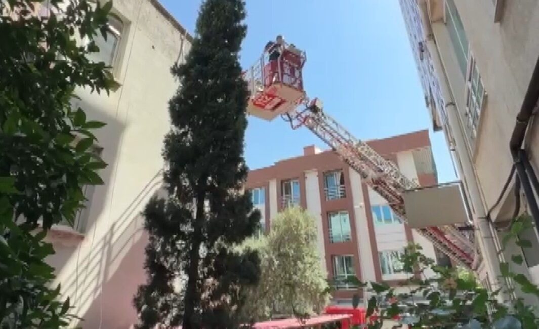 KAHRAMANMARAŞ’TA AĞAÇTA MAHSUR KALAN