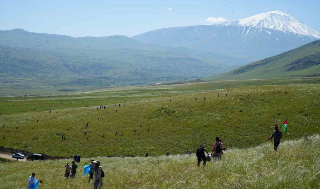 AĞRI DAĞI'NIN ETEKLERİNDE TOPLANAN