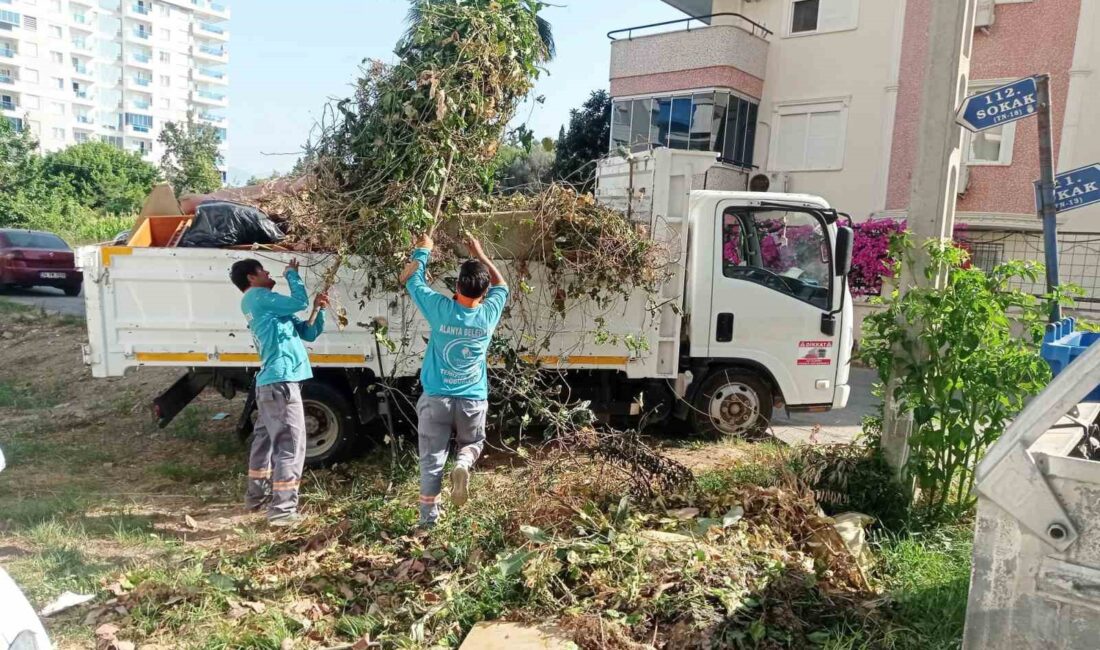 ALANYA BELEDİYESİ TEMİZLİK İŞLERİ