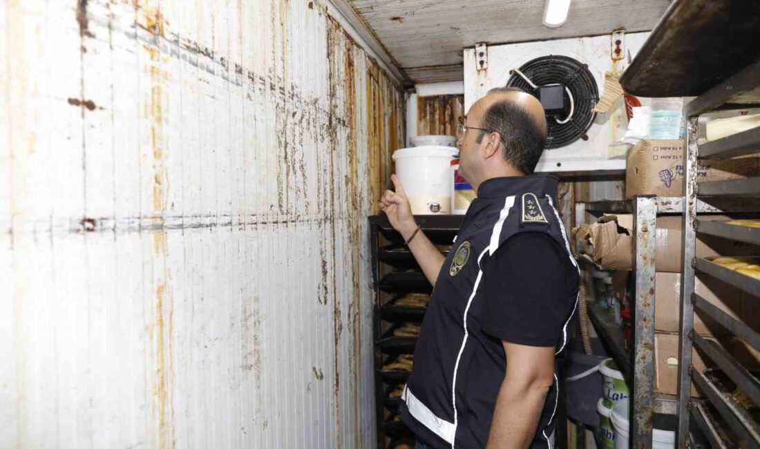 ALANYA BELEDİYESİ ZABITA MÜDÜRLÜĞÜ