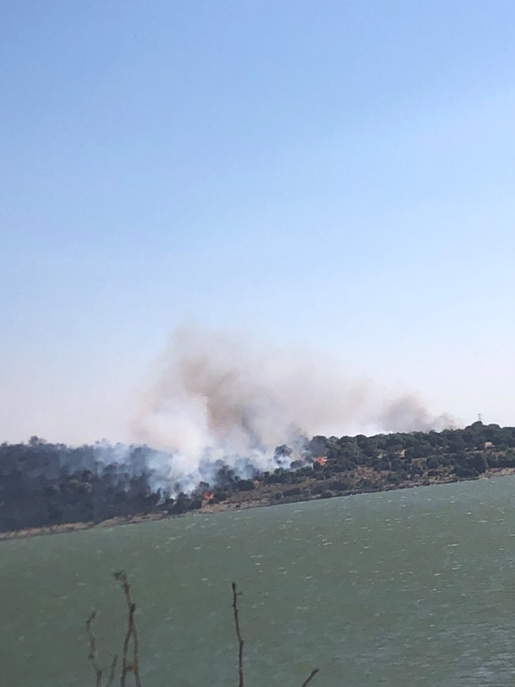 Aliağa’da makilik ve otluk alanda çıkan yangın söndürüldü