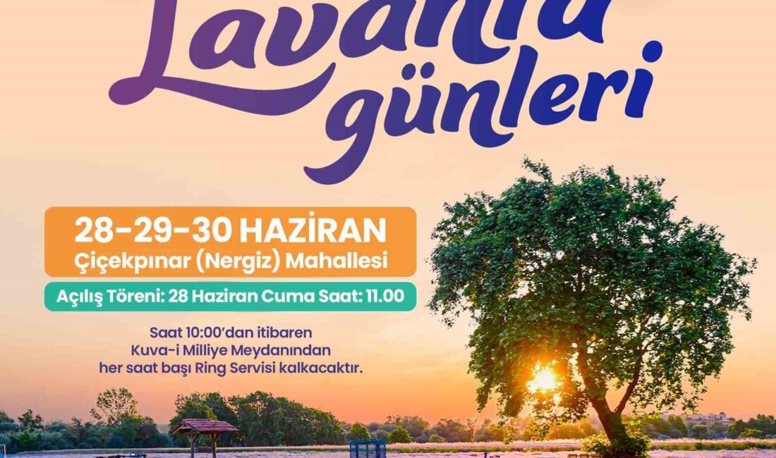 ALTIEYLÜL BELEDİYESİ VATANDAŞLARI LAVANTA