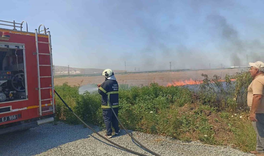 HATAY’IN REYHANLI İLÇESİNDE ŞEHİTLİK