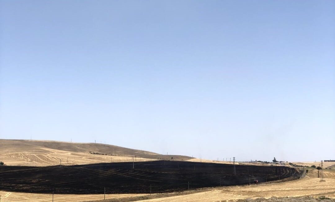 ANKARA’DA 100 DEKARLIK BUĞDAY TARLASI YANGINI