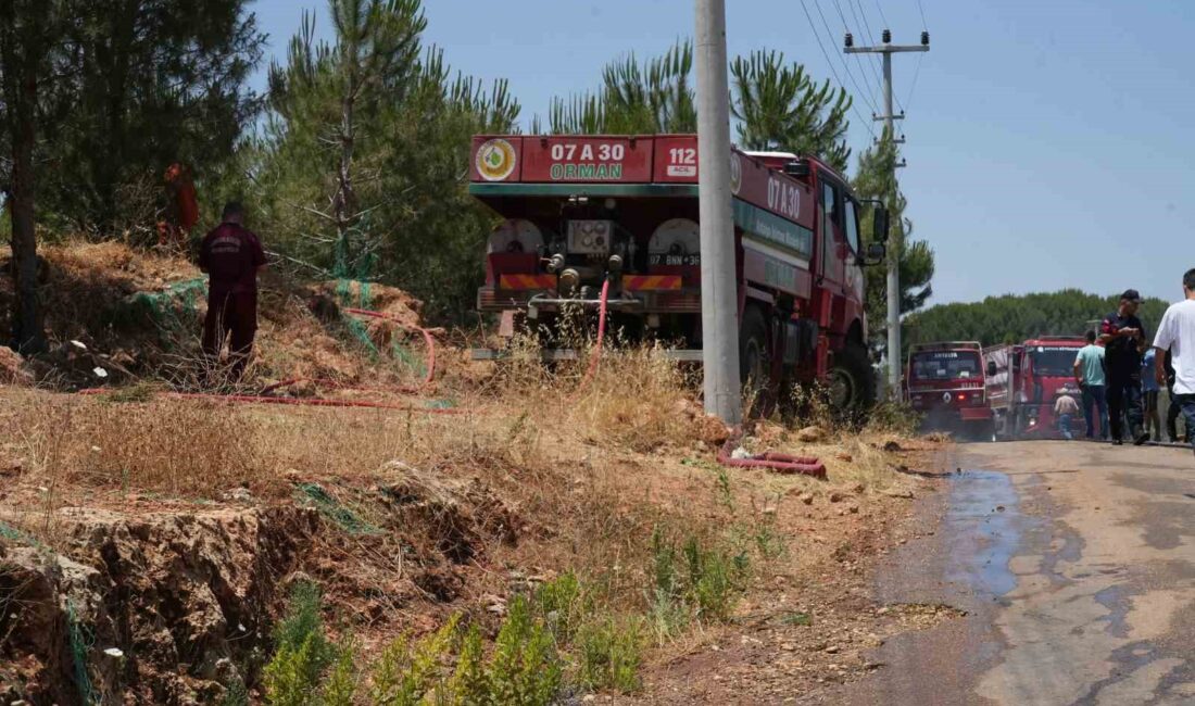 ANTALYA'NIN AKSU İLÇESİNDE ÇIKAN