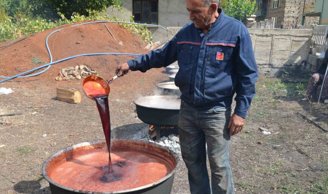 ANTALYA'NIN AKSEKİ İLÇESİNDE TOROS