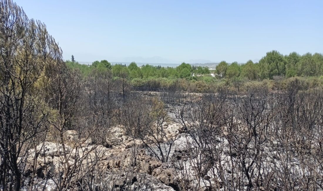 ANTALYA’NIN AKSU İLÇESİNDE ÇIKAN