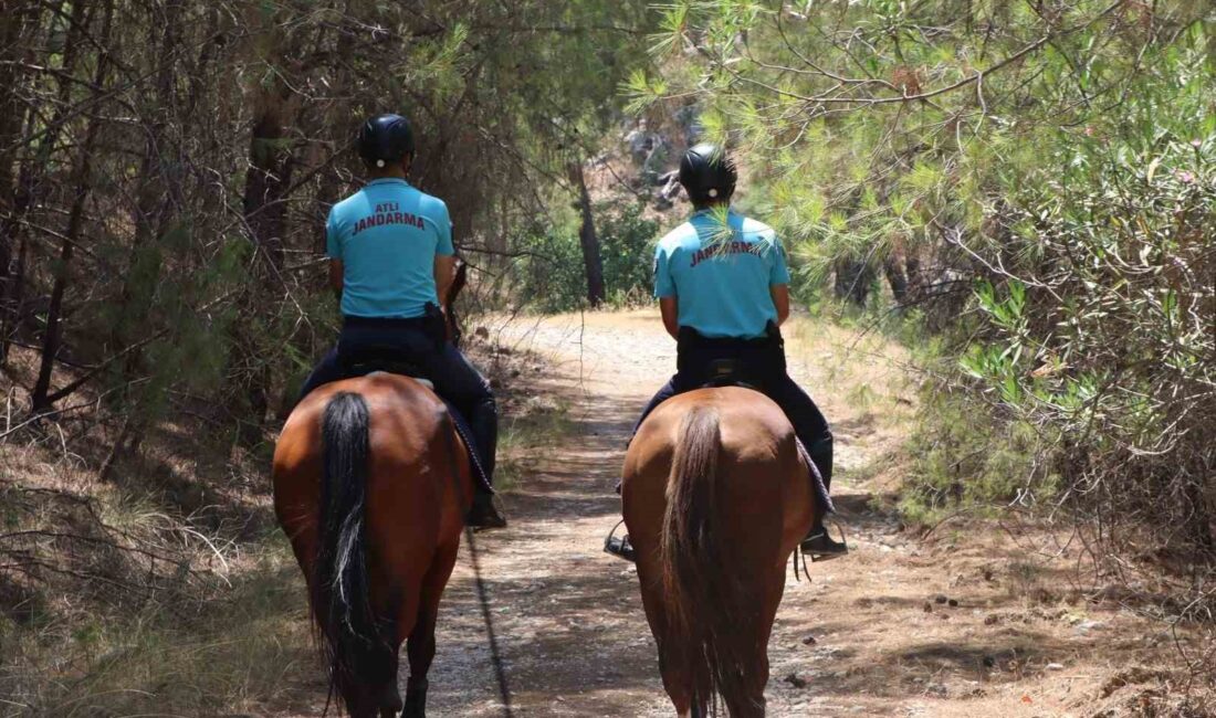 ANTALYA’DA JANDARMA VE ORMAN