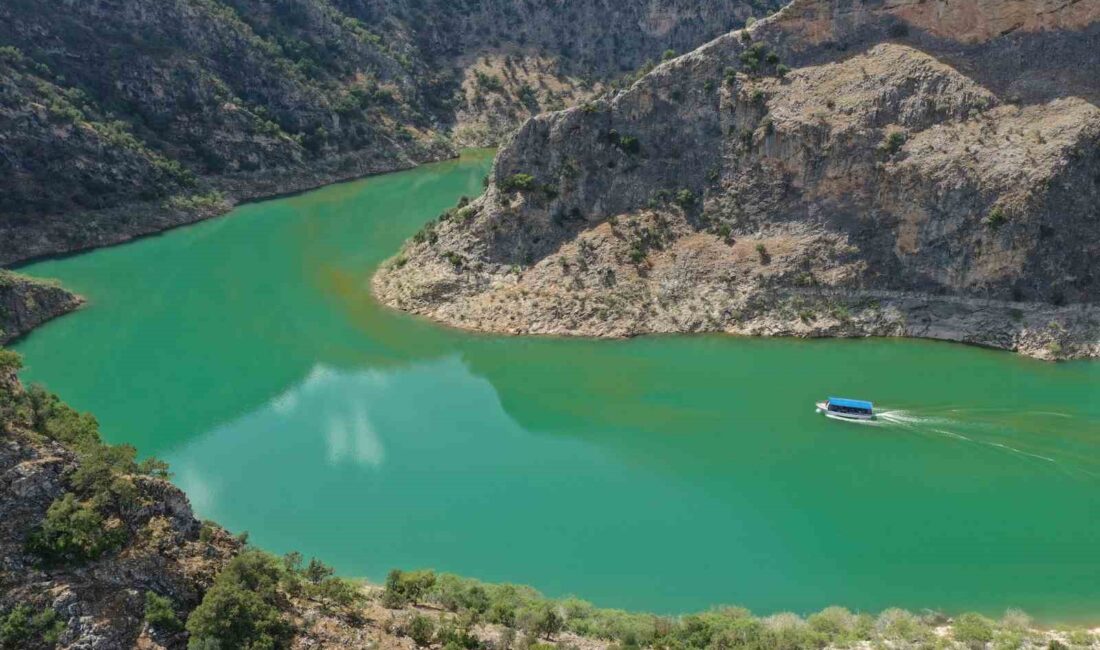 AYDIN'IN BOZDOĞAN İLÇESİNDEKİ ARAPAPIŞTI