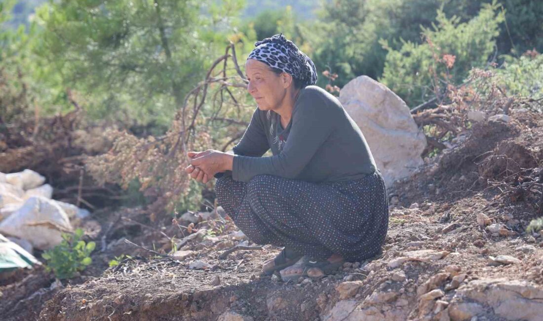 HATAY’IN YAYLADAĞI İLÇESİNDE YAŞAYAN VE 51 YAŞINDAKİ ŞİZOFRENİ HASTASI MEHMET