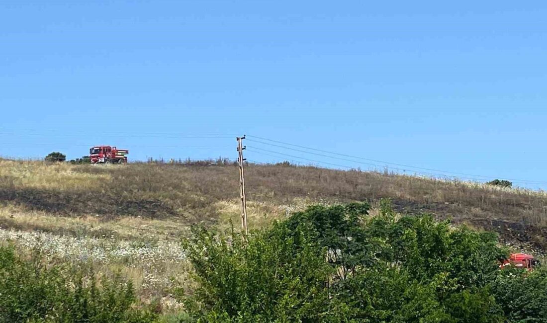 HATAY'IN ARSUZ İLÇESİNDE ORMANLIK ALANA YAKIN BÖLÜMDE OT VE ÇALI