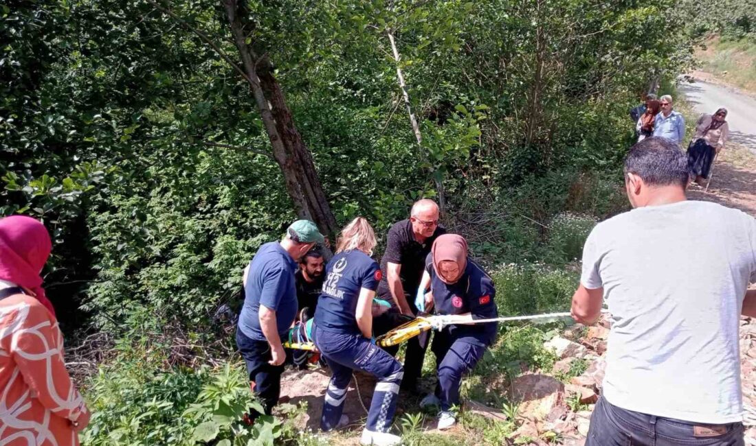 ORDU’NUN ÜNYE İLÇESİNDE GEZİNTİYE