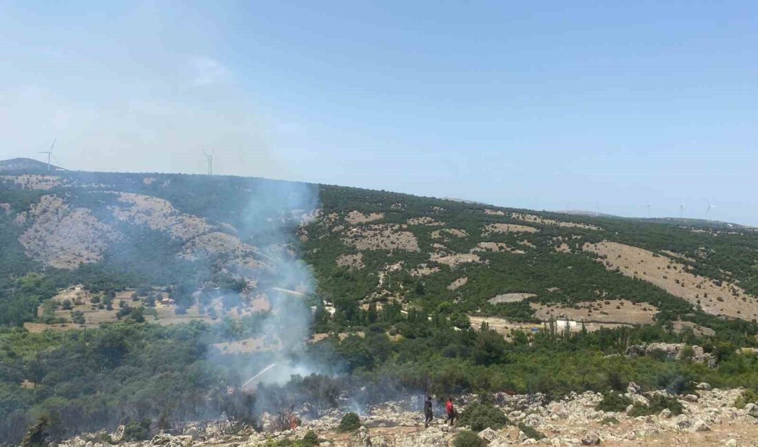 ÇANAKKALE’NİN AYVACIK İLÇESİNDE MAKİLİK