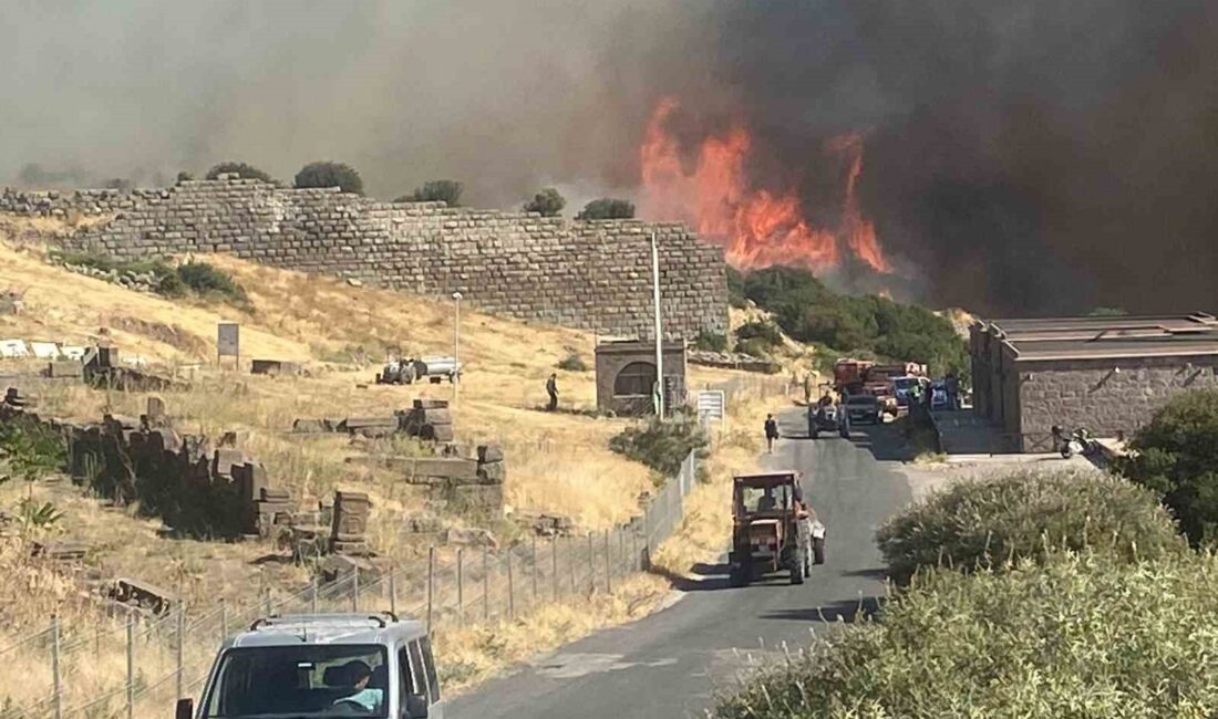 ÇANAKKALE'NİN AYVACIK İLÇESİNDE MAKİLİK