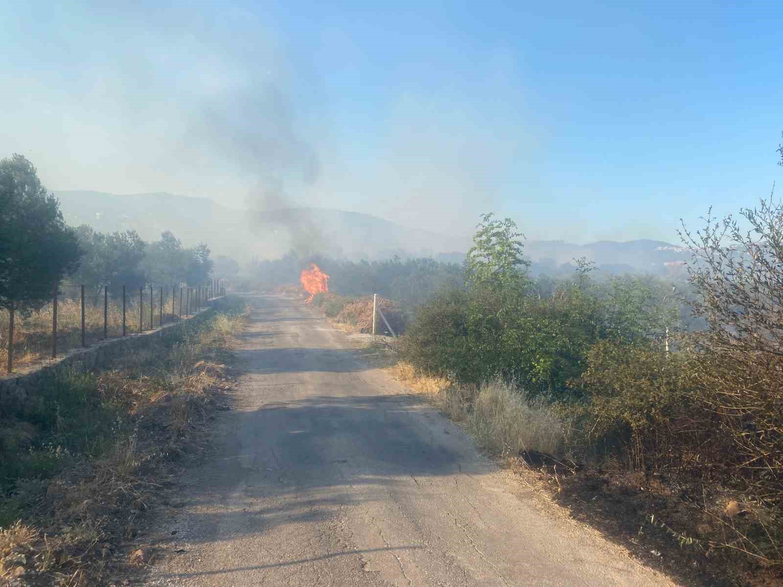 Ayvacık’ta orman yangını