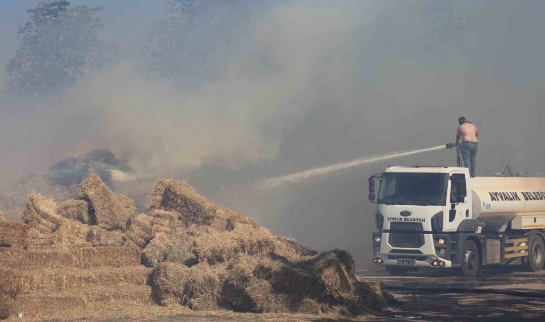 AYVALIK’TA ÇÖPLÜK ALANDA ÇIKAN