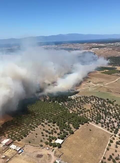 BALIKESİR’İN AYVALIK İLÇESİNDE ÇÖPLÜKTE