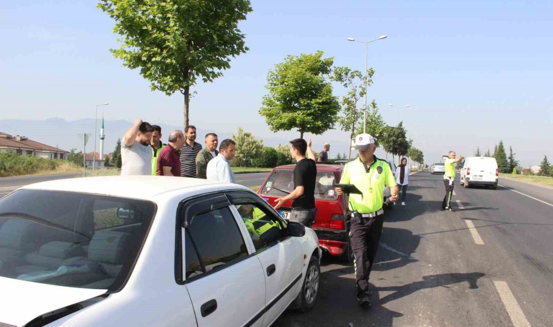 DÜZCE MERKEZ BAHÇEŞEHİR BAĞLANTI