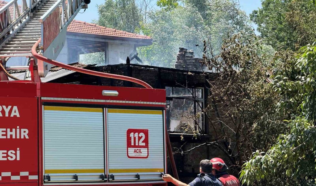 SAKARYA’NIN ADAPAZARI İLÇESİNDE YOLDAN