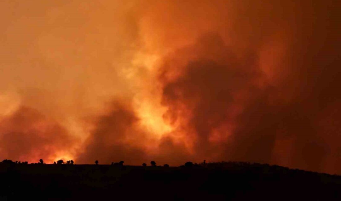 20 HAZİRAN GÜNÜ DİYARBAKIR