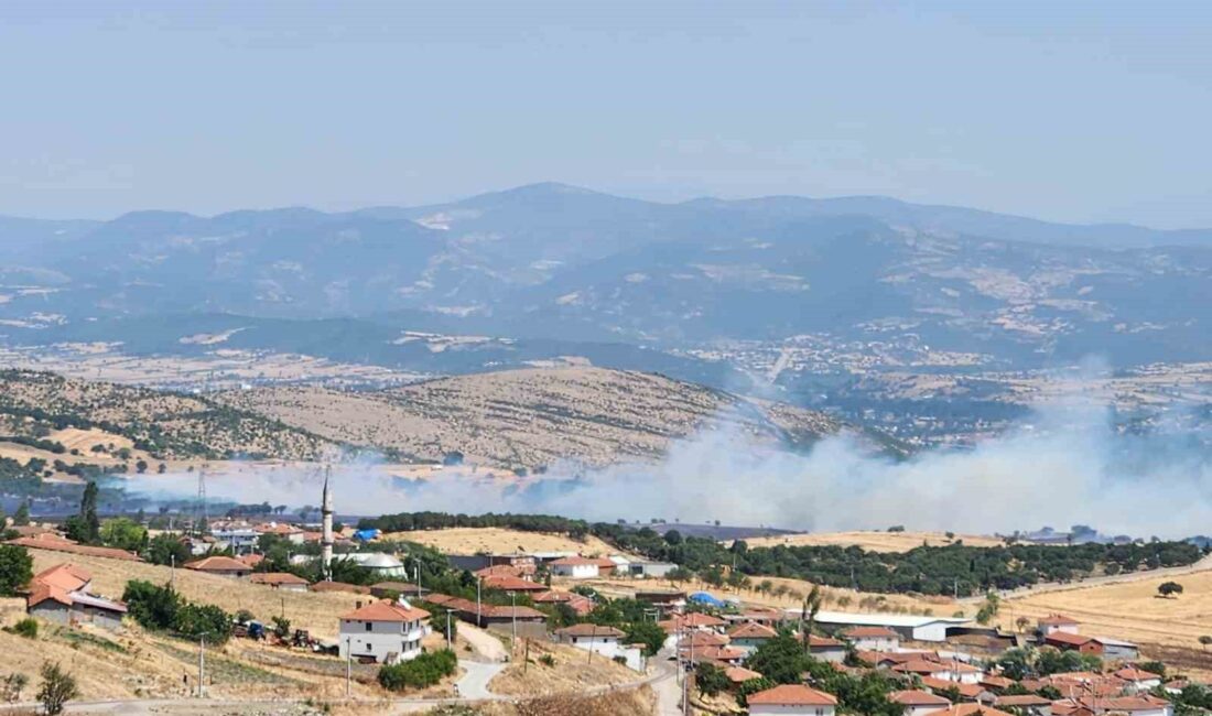 BALIKESİR’İN KEPSUT İLÇESİ EŞELER