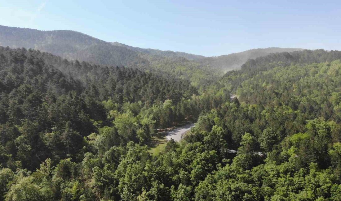 BALIKESİR VALİLİĞİNDEN YAPILAN DUYURUDA,