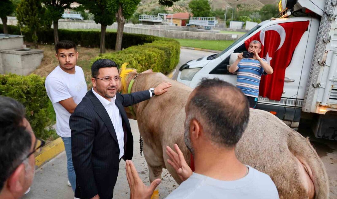 NEVŞEHİR BELEDİYE BAŞKANI RASİM