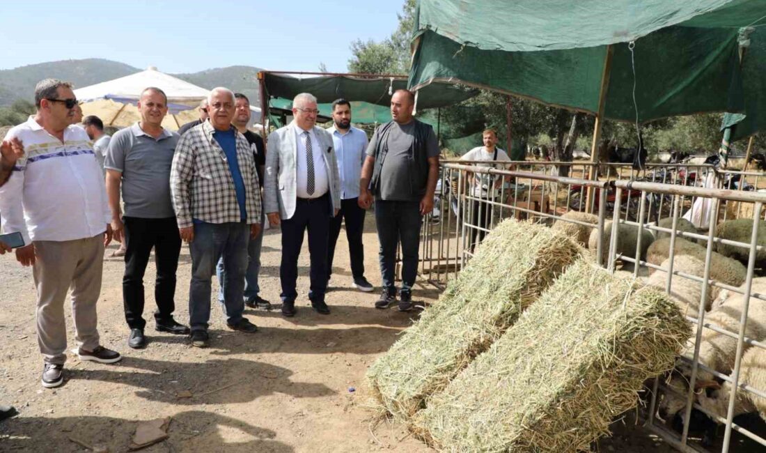 BALIKESİR’İN EDREMİT BELEDİYESİ TARIMSAL