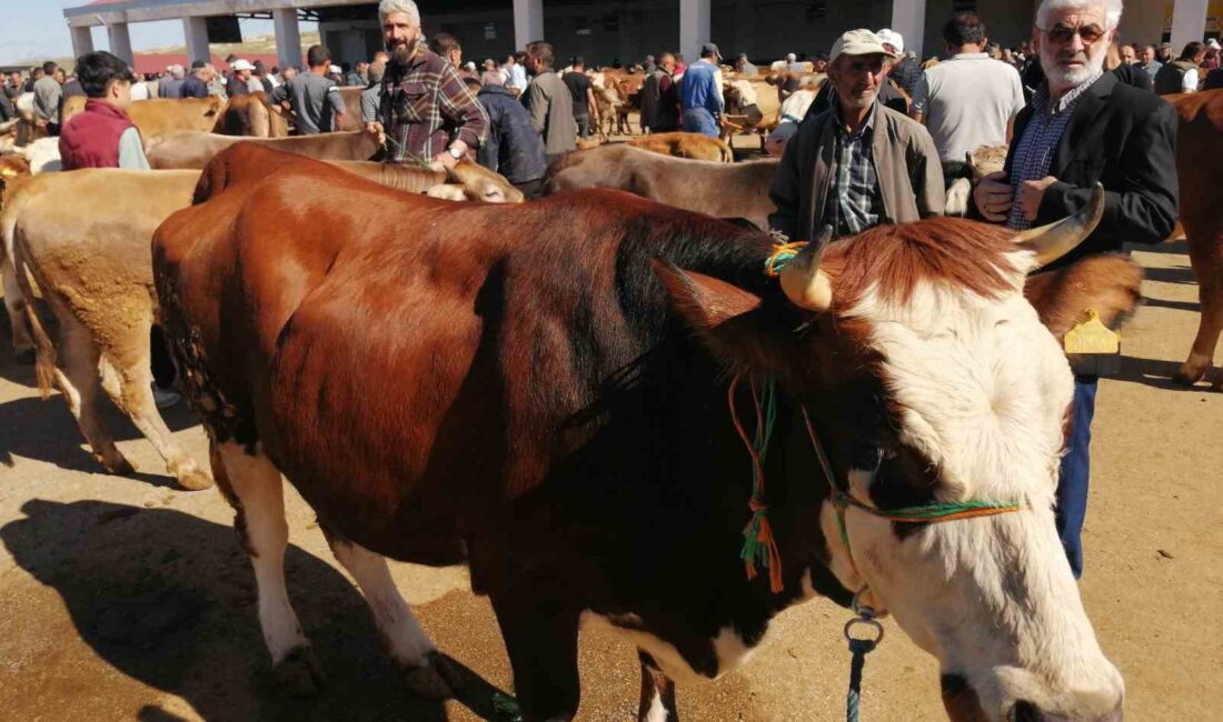 BAYBURT’TA KURBAN PAZARINDA HAREKETLİLİK