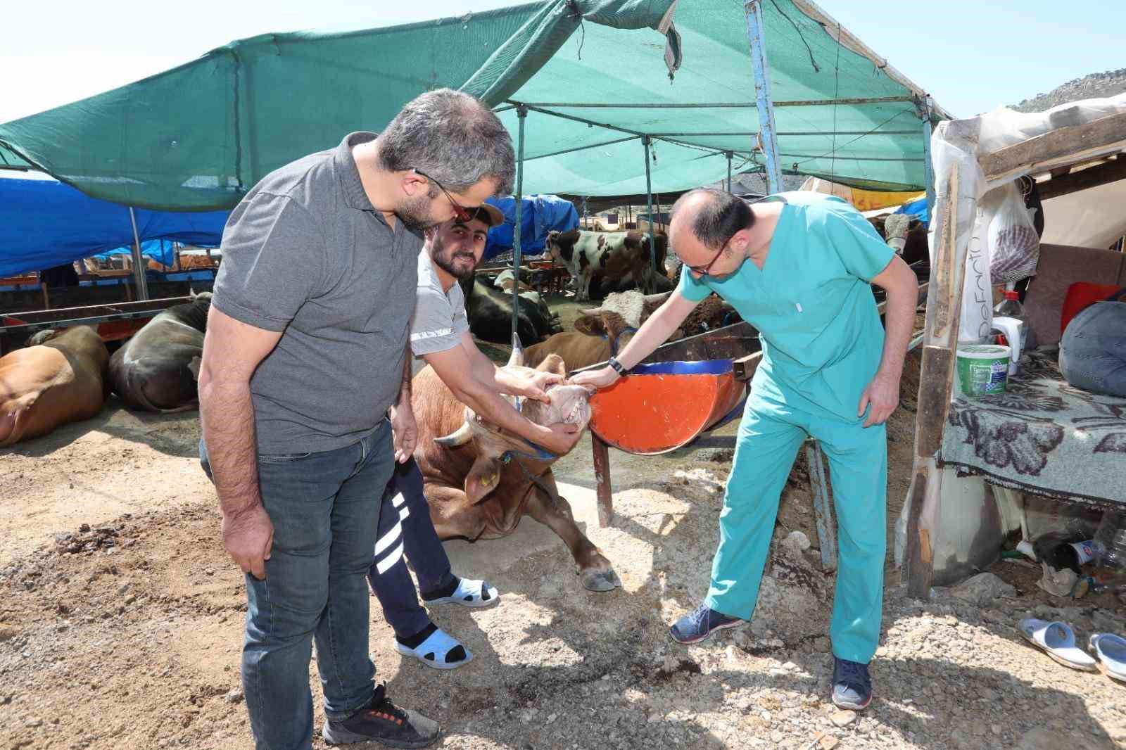 Bayraklı’da Kurban Bayramı’na hazırlıkları