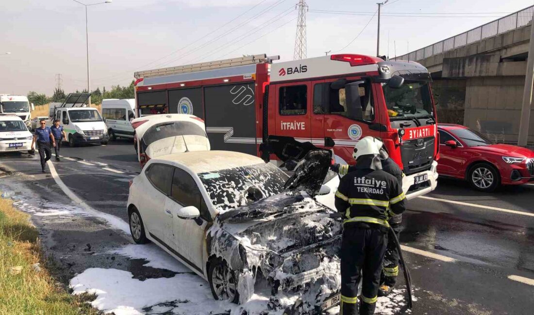 TEKİRDAĞ'IN ÇORLU İLÇESİNDE SEYİR