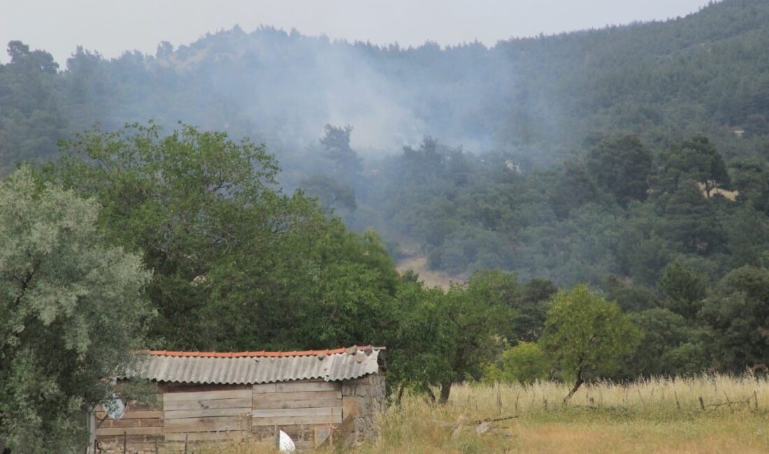 ÇANAKKALE’NİN BAYRAMİÇ İLÇESİNDE YILDIRIM