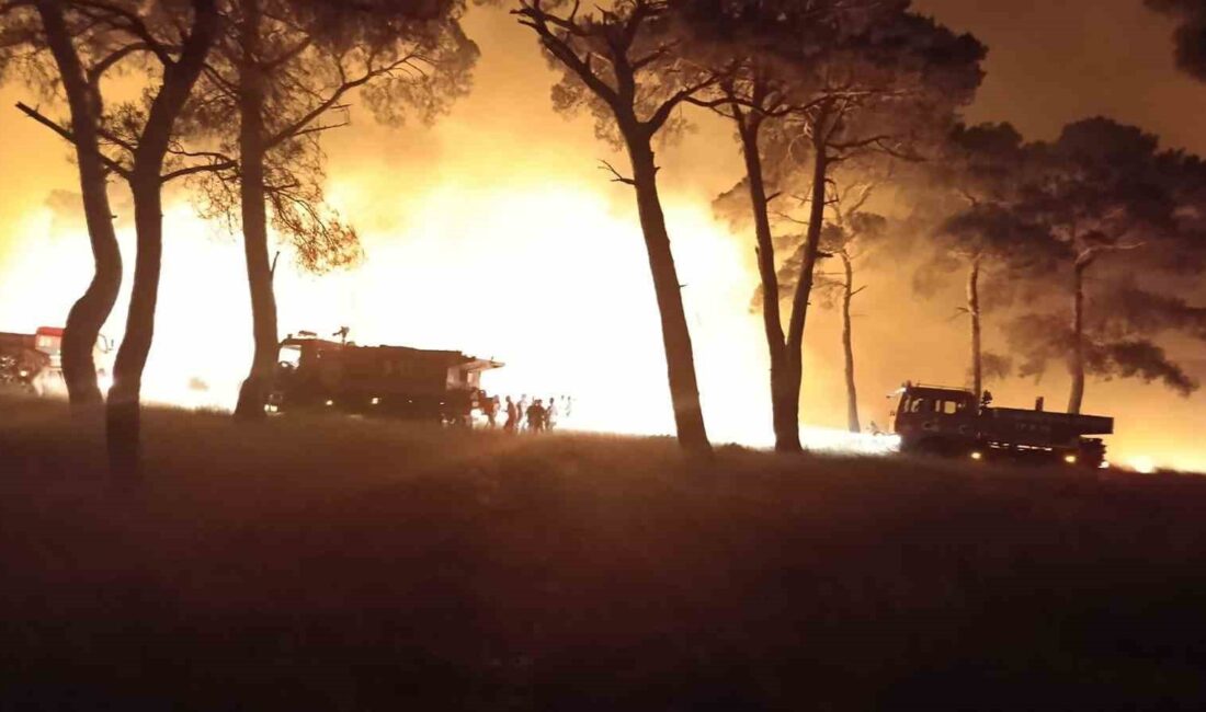 ÇANAKKALE'NİN BAYRAMİÇ İLÇESİNDE BAŞLAYAN