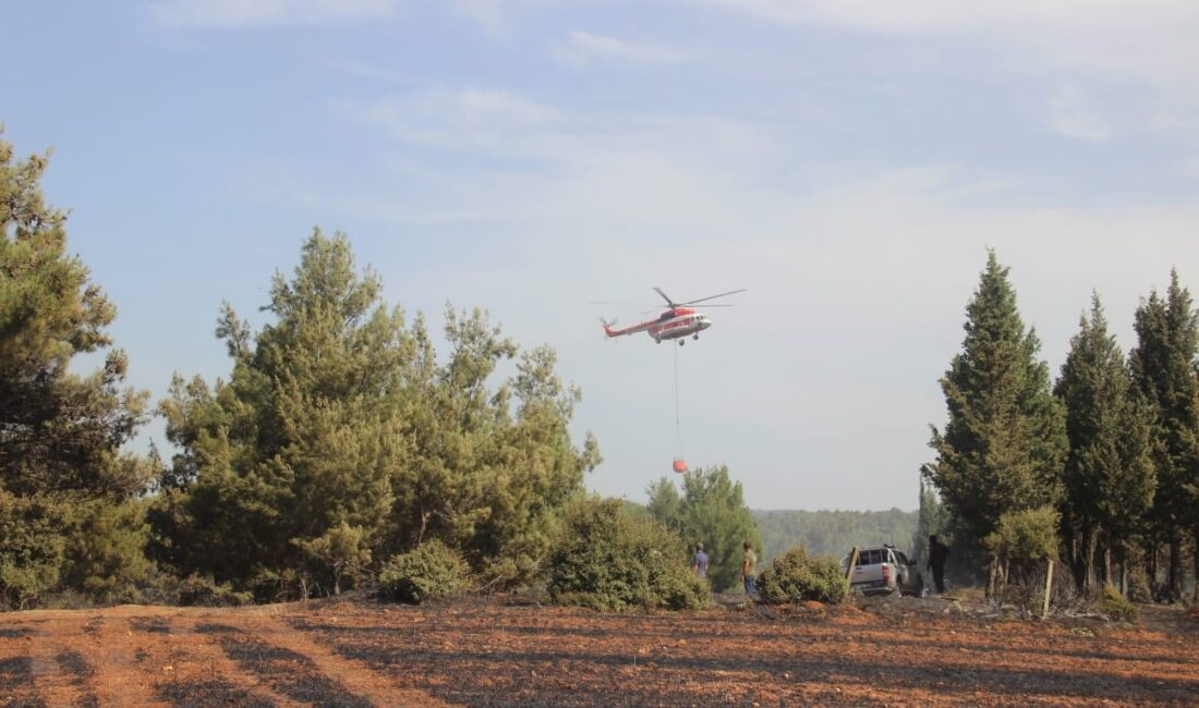 ÇANAKKALE'NİN BAYRAMİÇ İLÇESİNDE TARIM