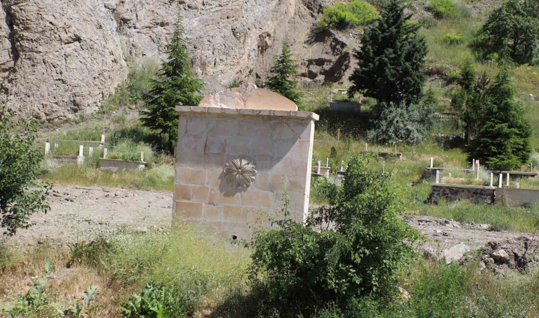 HAKKARİ BELEDİYESİ KENTİN BİR