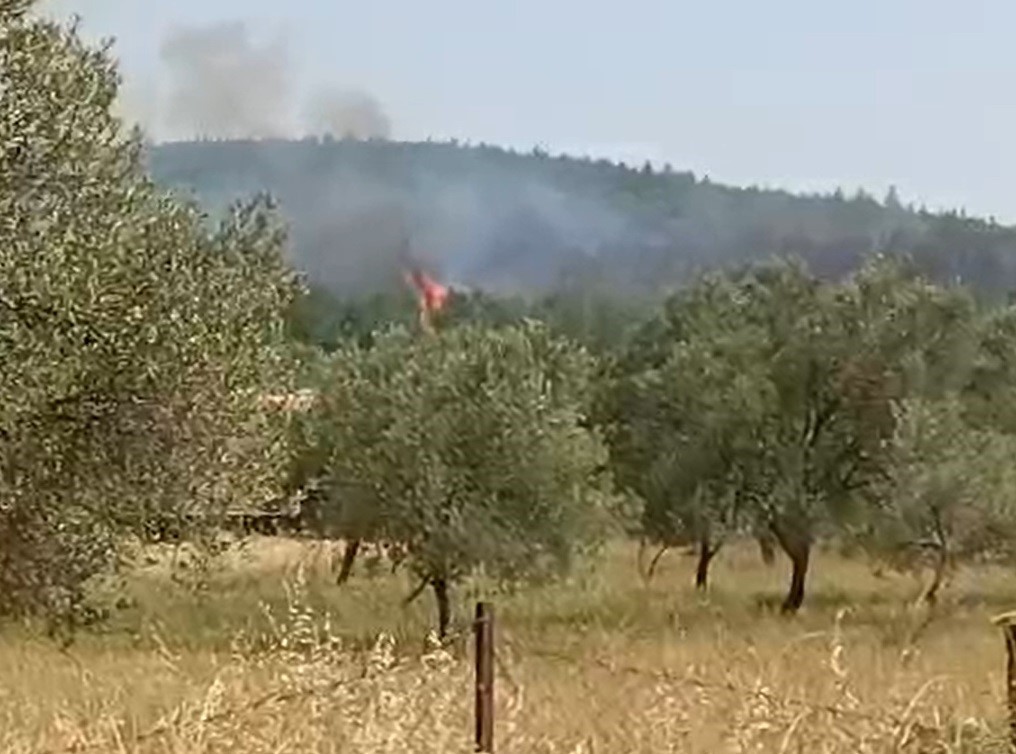 Bergama’da orman yangını