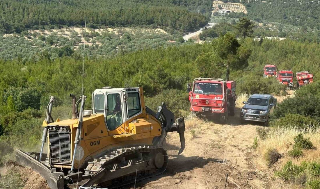 BERGAMA’DAKİ ORMAN YANGINI KONTROL