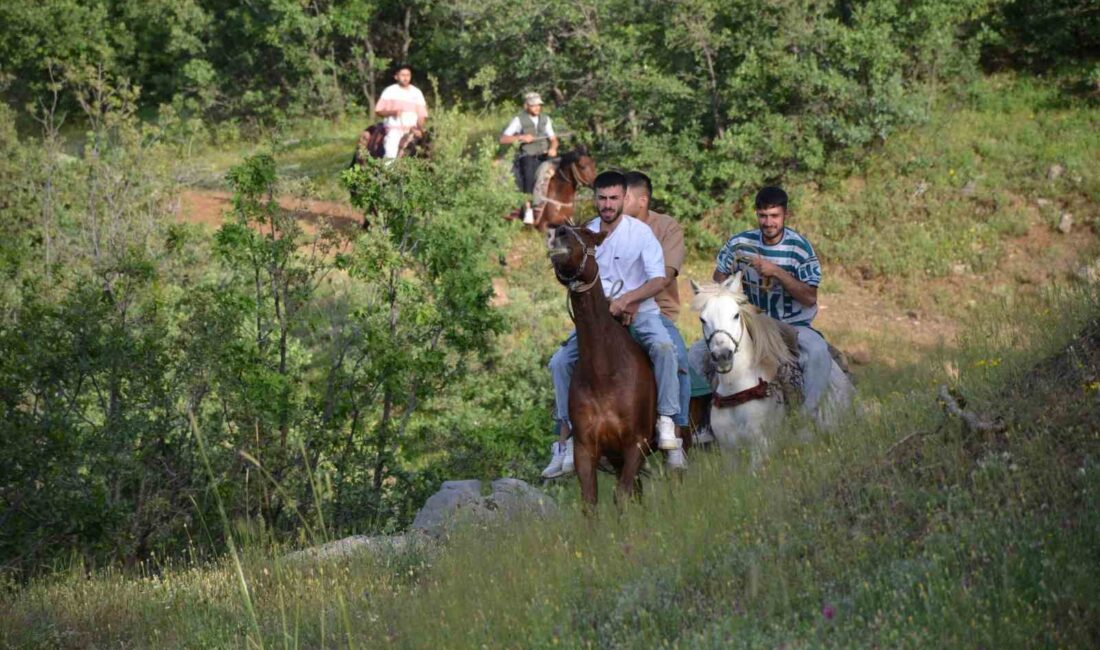 ŞIRNAK'IN BEYTÜŞŞEBAP İLÇESİNDE BİR