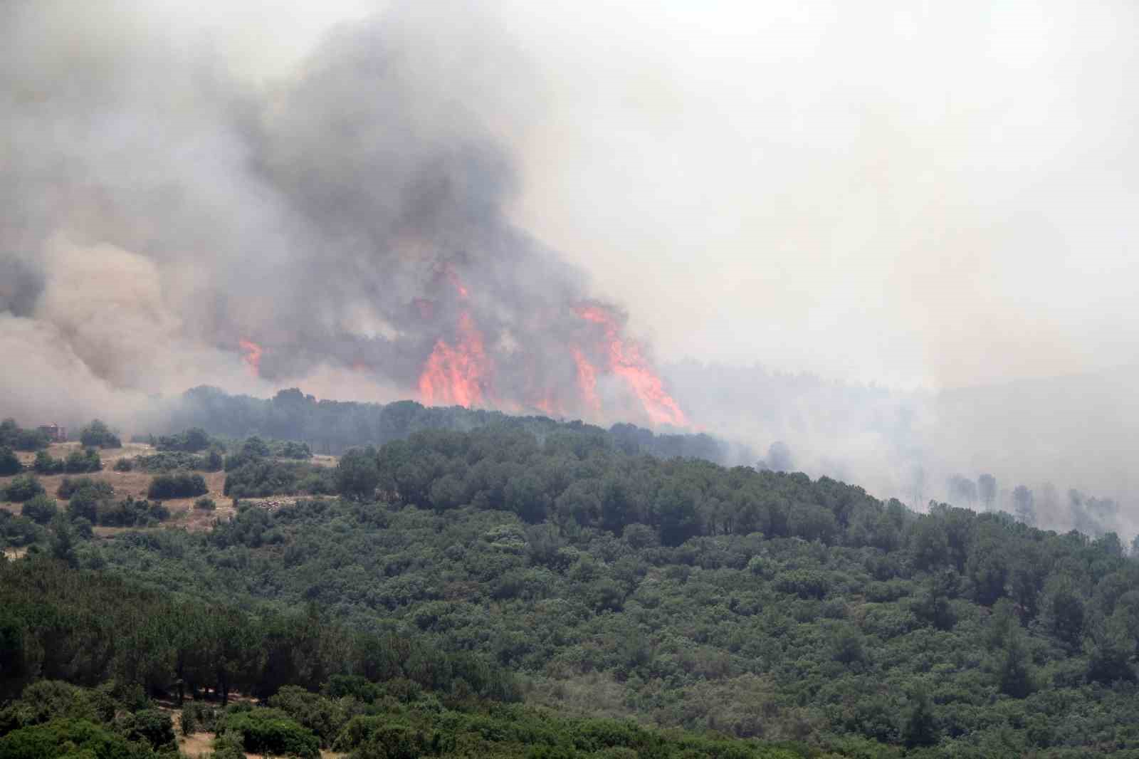 Biçerdöver kaynaklı yangın ormana sıçradı