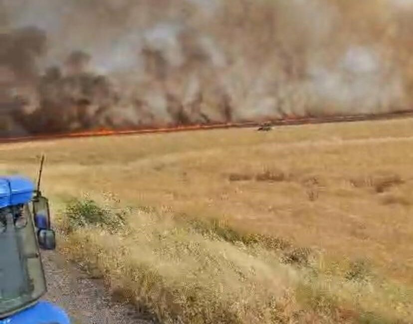 DİYARBAKIR’IN HAZRO İLÇESİNDE BİÇERDÖVER