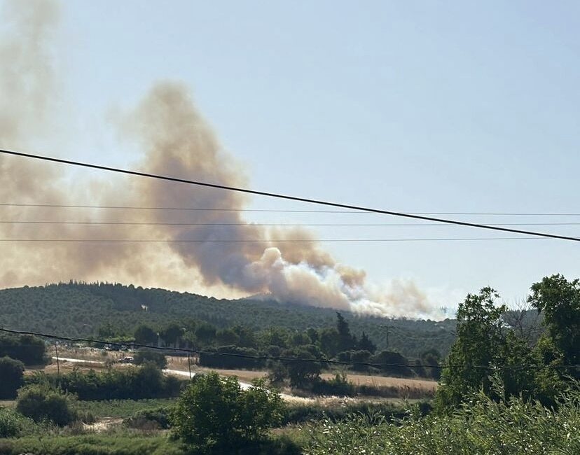 ÇANAKKALE'NİN BİGA İLÇESİNDE ÇIKAN