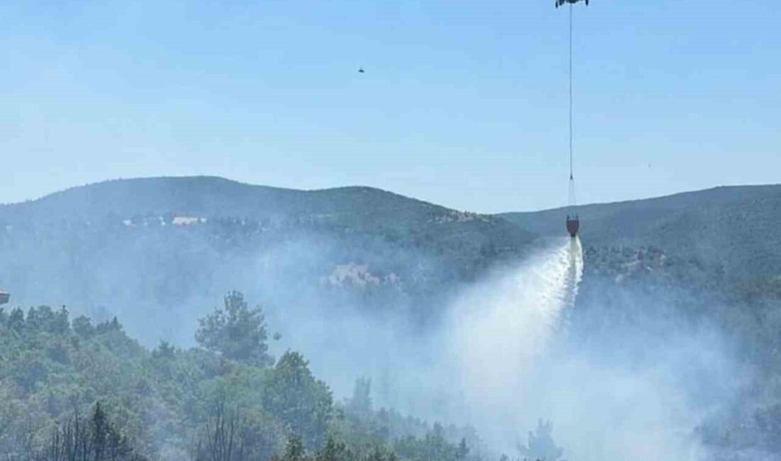 SÖĞÜT’ÜN KÜRE KÖYÜ KIŞLABAYIRI