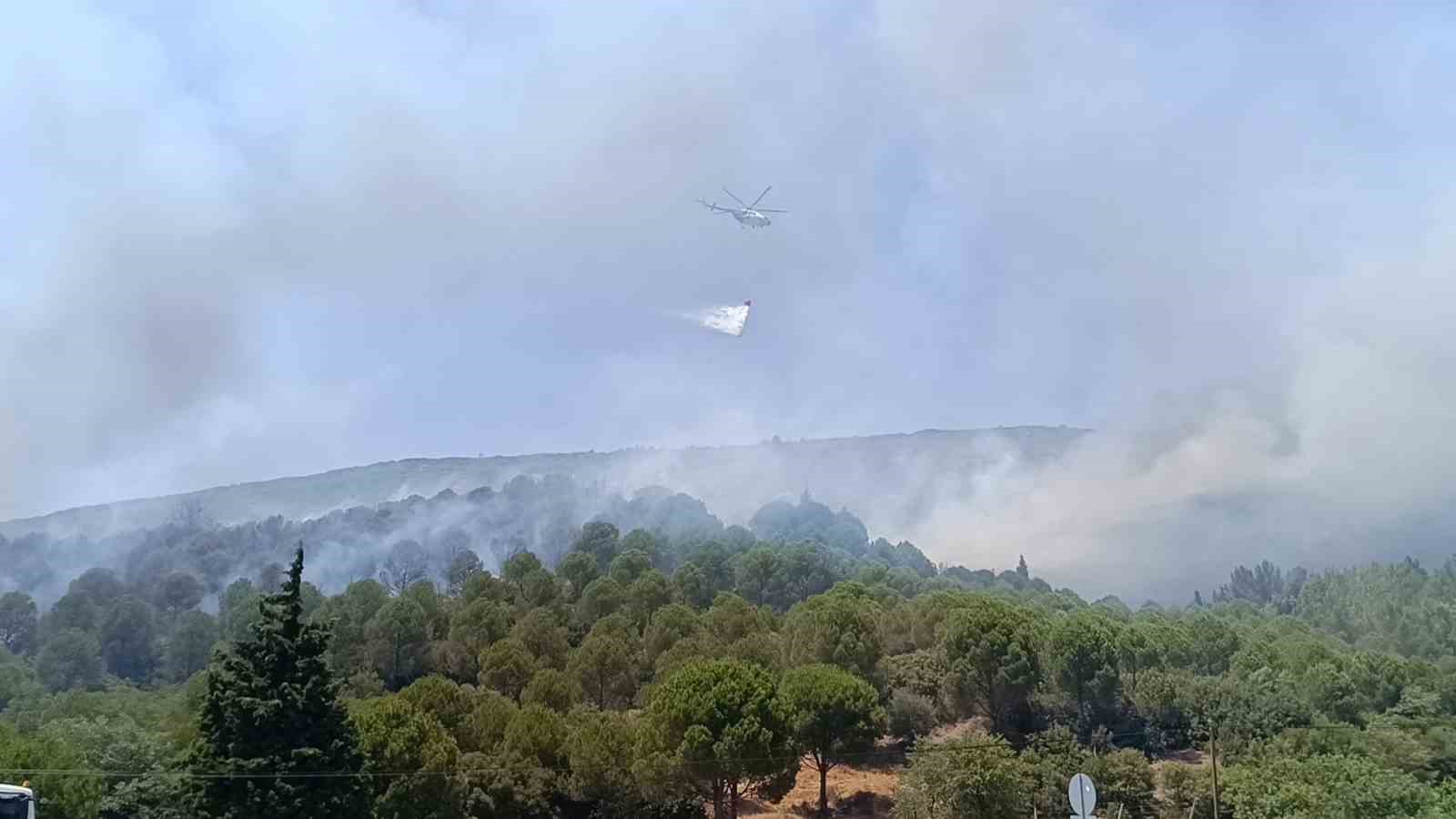 Bornova’daki orman yangını kontrol altına alındı