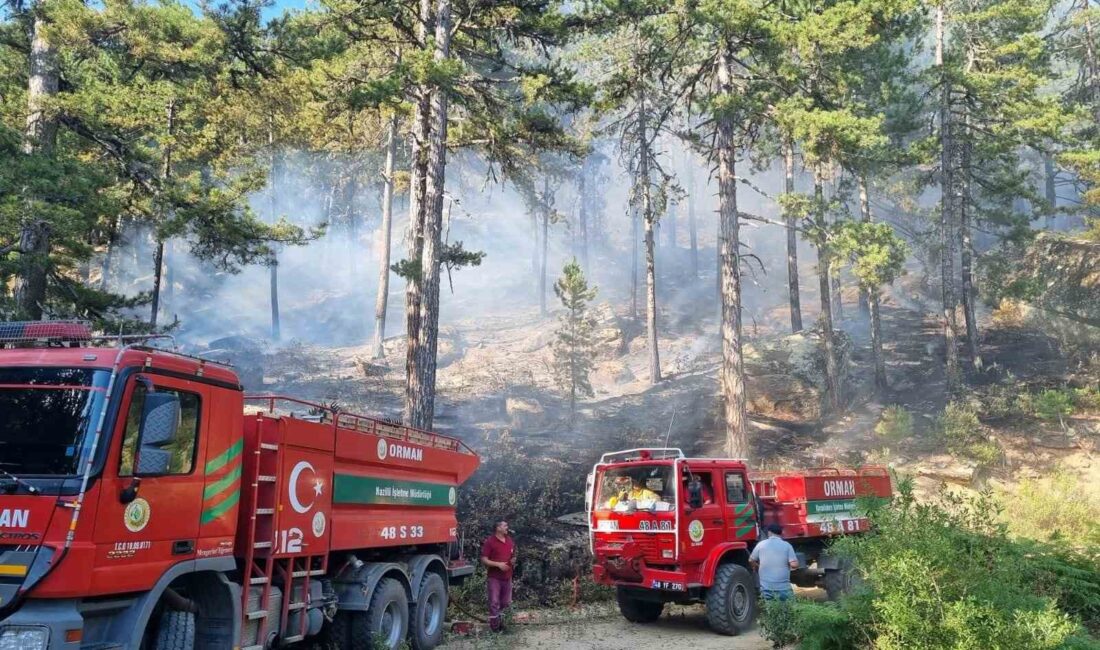 BOZDOĞAN KAYMAKAMLIĞI, ARTAN SICAKLIKLARLA