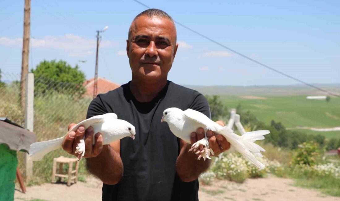 YOZGAT’IN SORGUN İLÇESİNE BAĞLI