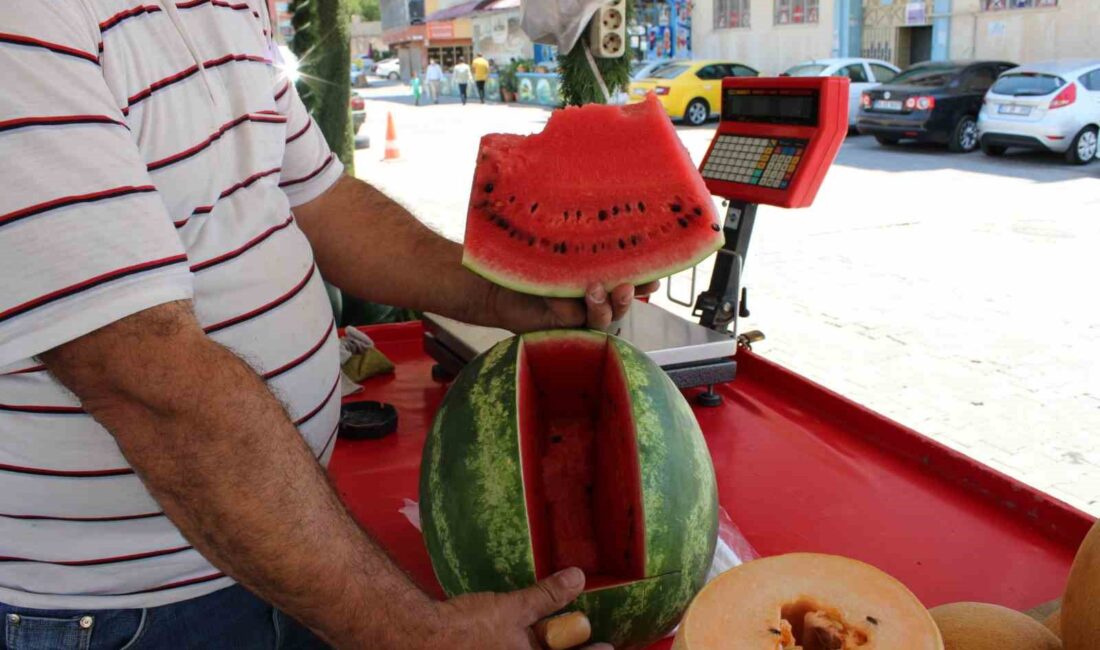 BUNALTICI SICAKLAR VATANDAŞI SULU