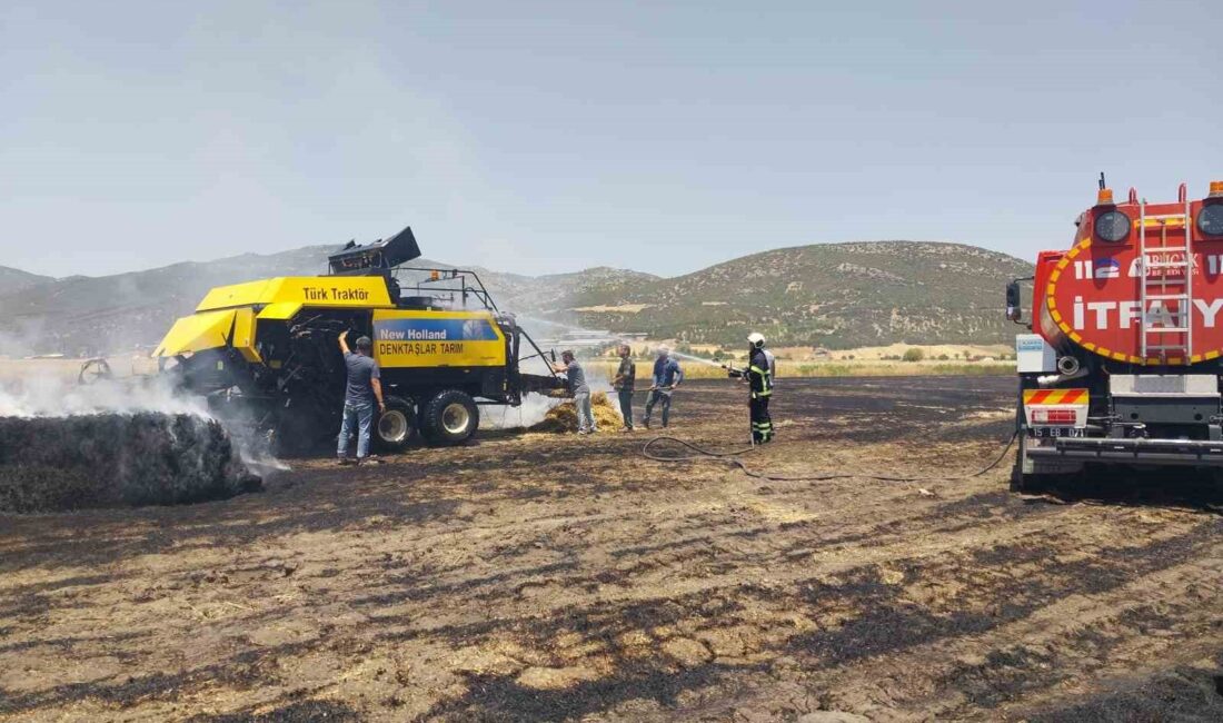 BURDUR'UN BUCAK İLÇESİNDE TARLADA