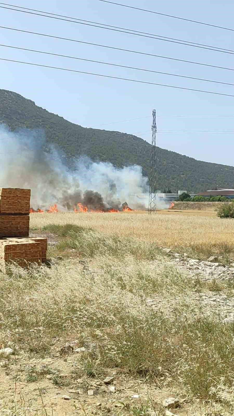 Burdur’da çıkan arazi yangınında yaklaşık 25 dekar alan yandı